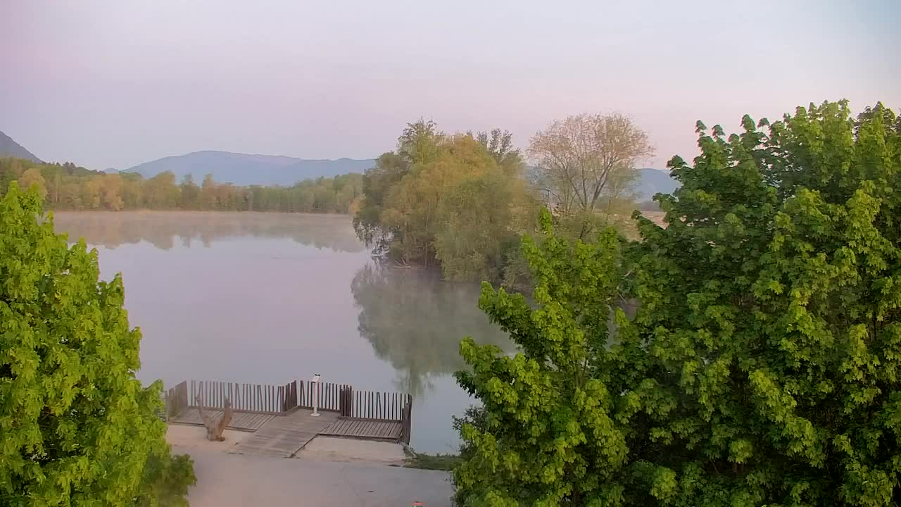 Webcam Ribnik Vrbje – Žalec