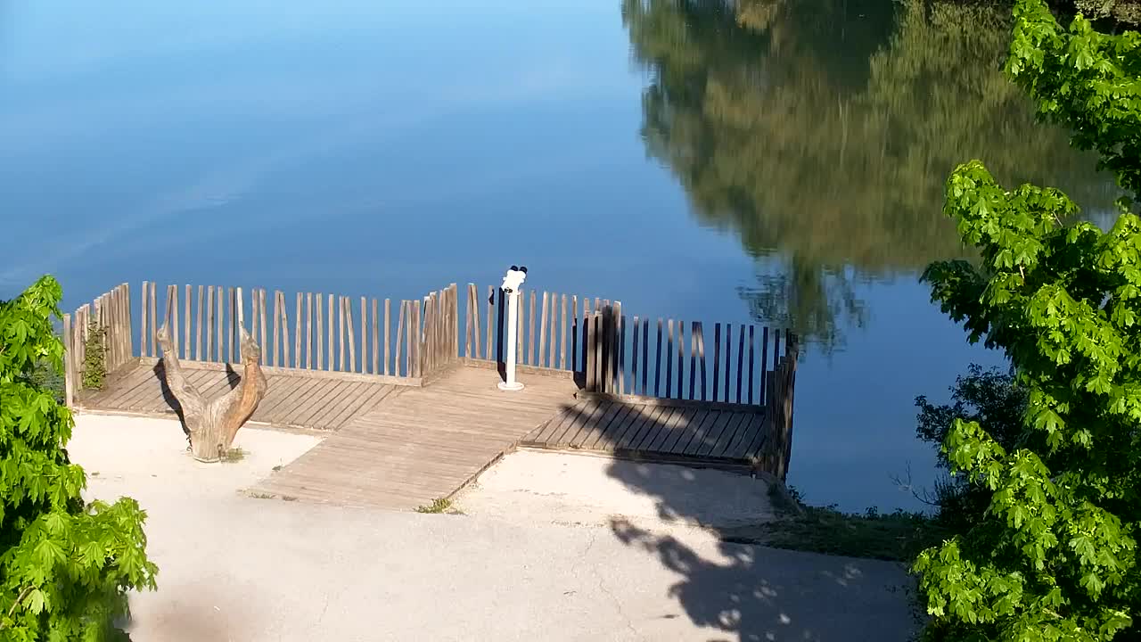 Webcam Ribnik Vrbje – Žalec