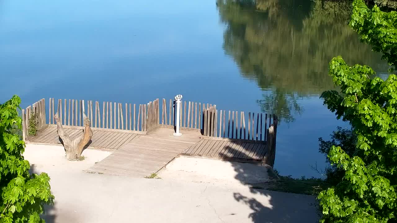 Webcam Ribnik Vrbje – Žalec