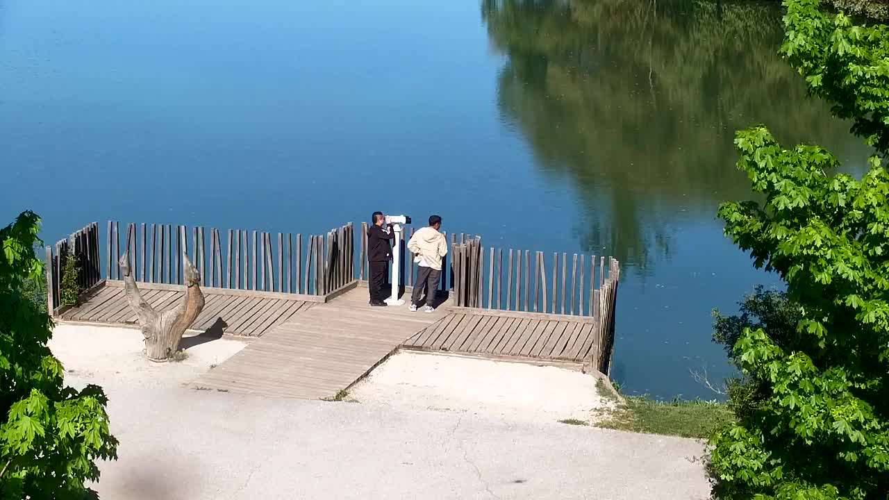 Webcam Ribnik Vrbje – Žalec