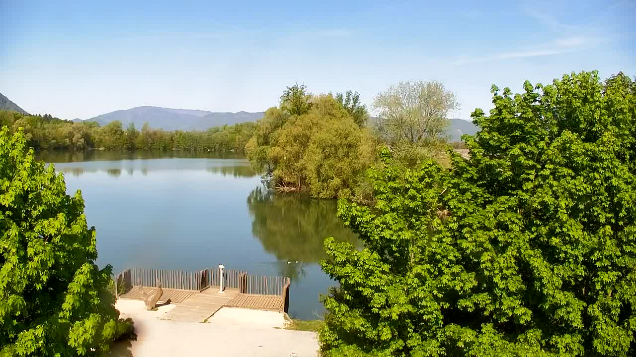 Web kamera Ribnik Vrbje – Žalec