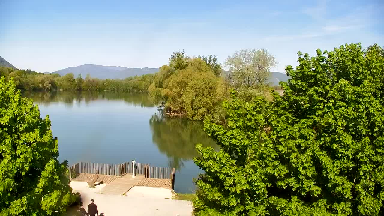 Webcam Ribnik Vrbje – Žalec