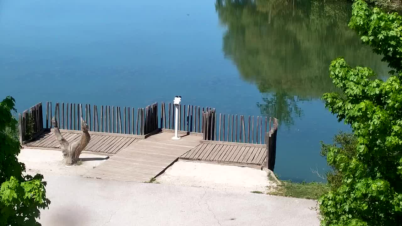 Webcam Ribnik Vrbje – Žalec