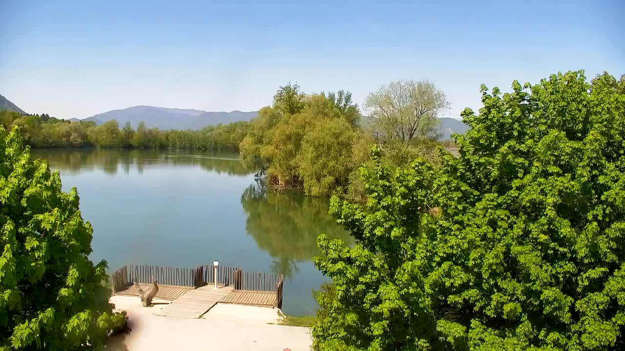 Webcam Ribnik Vrbje – Žalec