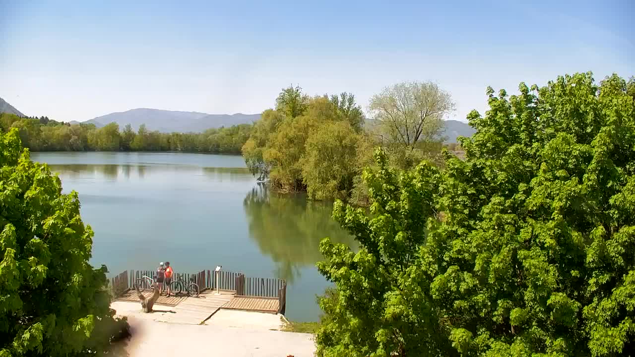 Spletna kamera Ribnik Vrbje – Žalec