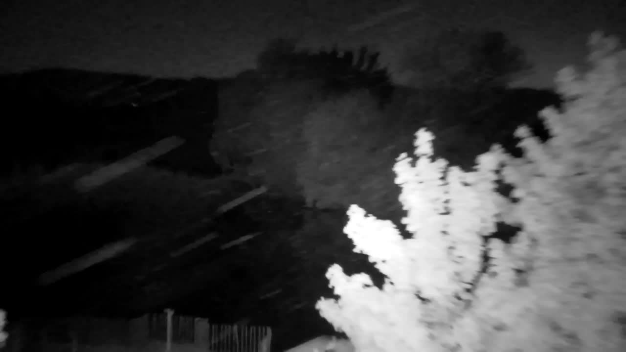 Webcam Ribnik Vrbje – Žalec