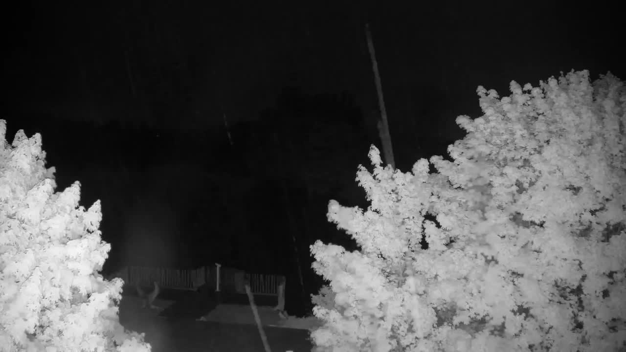 Webcam Ribnik Vrbje – Žalec