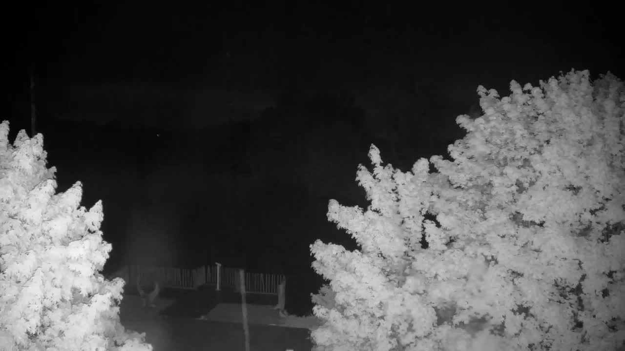 Webcam Ribnik Vrbje – Žalec