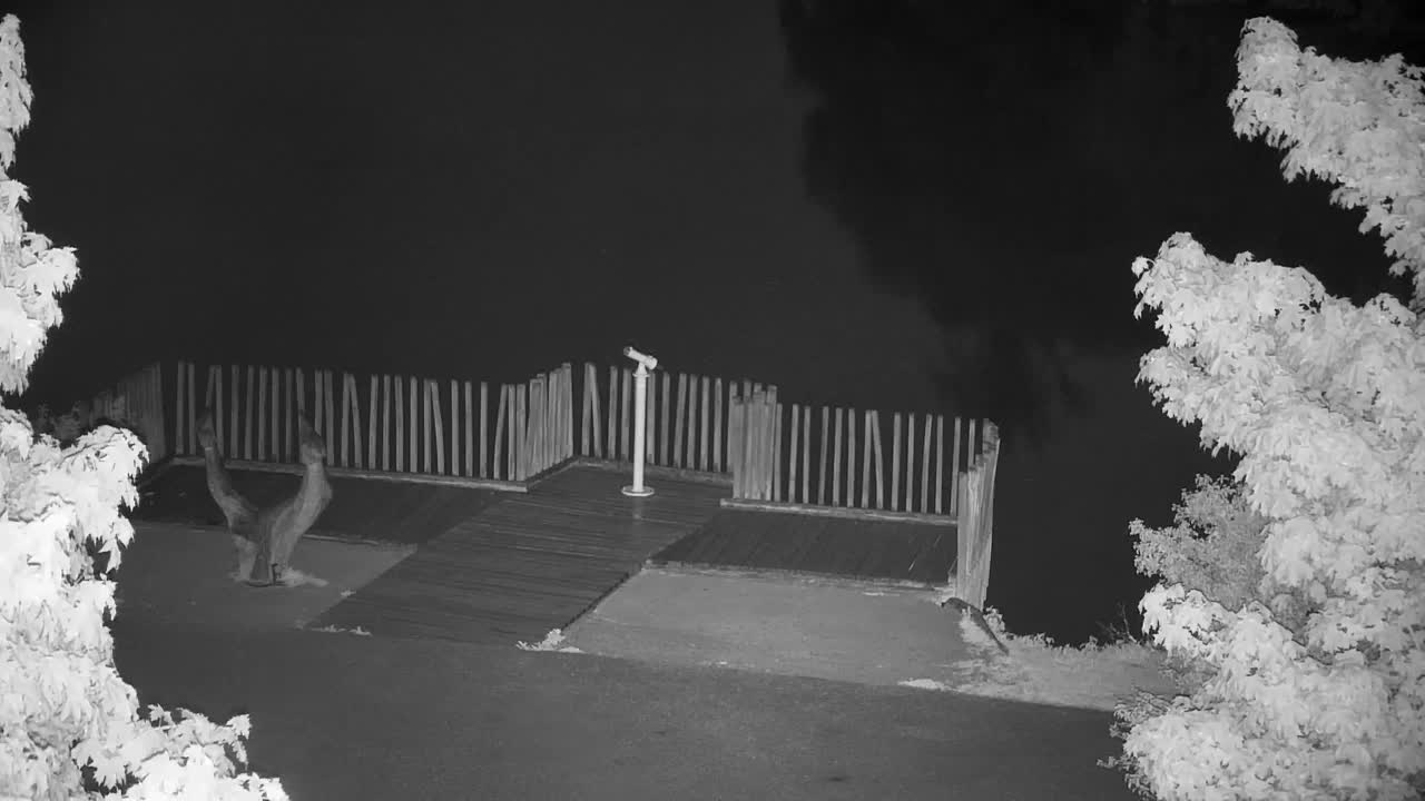 Webcam Ribnik Vrbje – Žalec