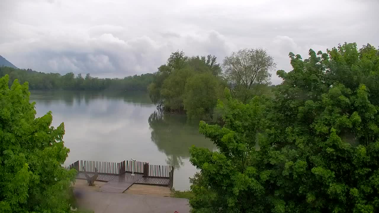 Webcam Ribnik Vrbje – Žalec