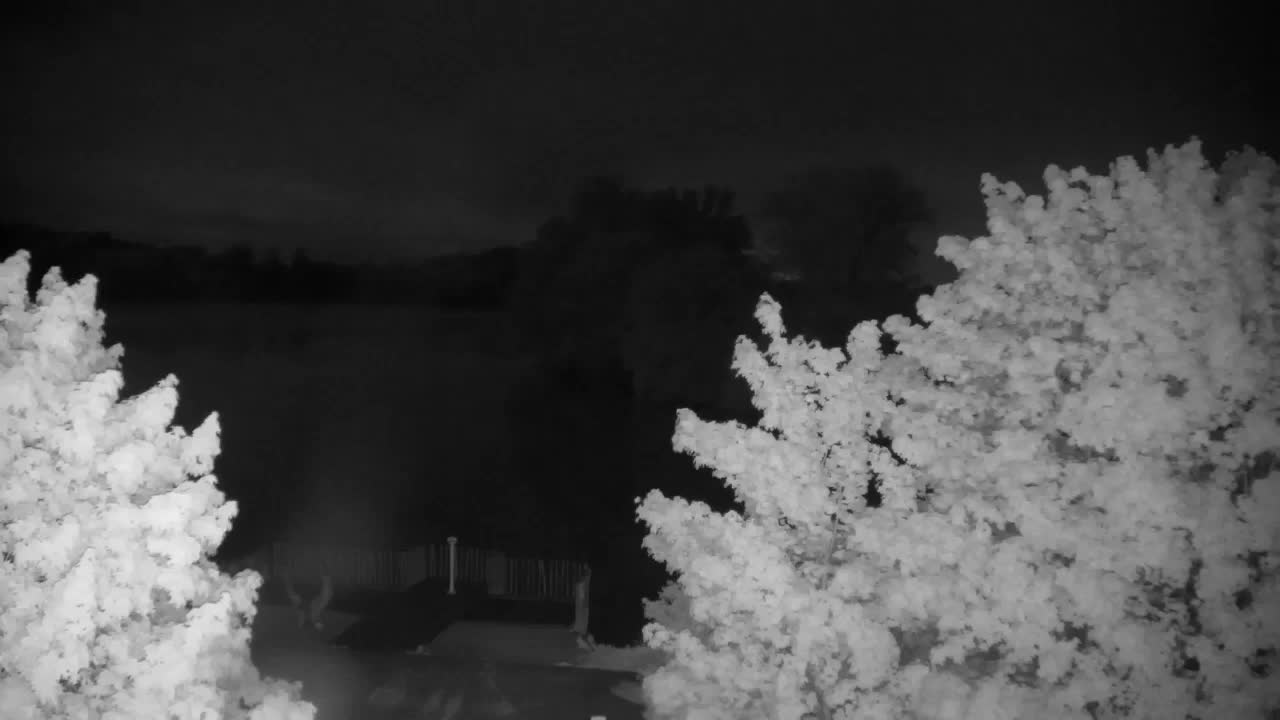 Webcam Ribnik Vrbje – Žalec