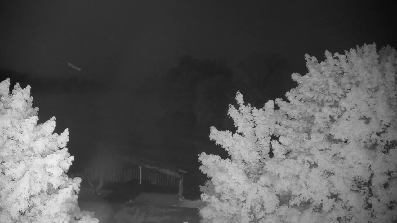 Webcam Ribnik Vrbje – Žalec