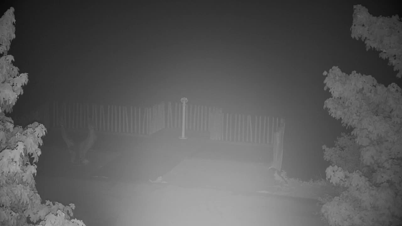 Webcam Ribnik Vrbje – Žalec