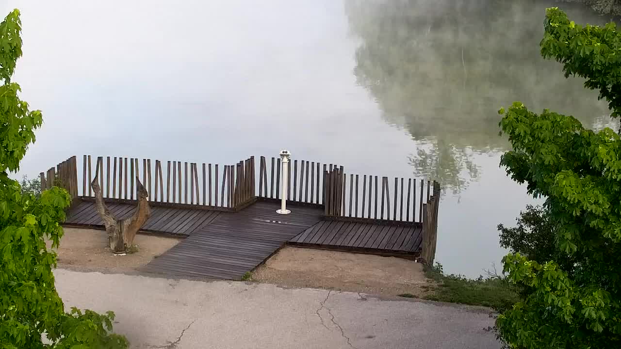 Webcam Ribnik Vrbje – Žalec