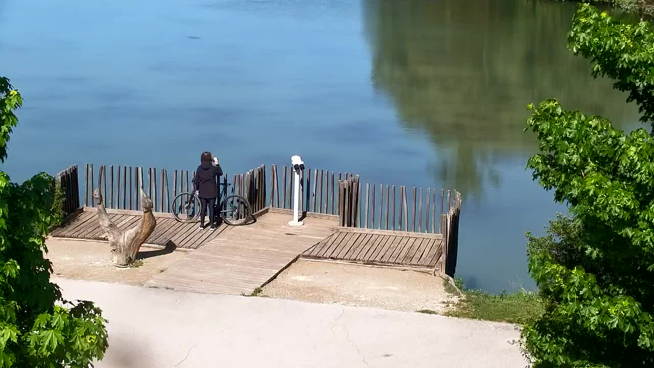 Webcam Ribnik Vrbje – Žalec