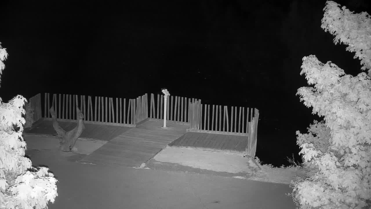 Webcam Ribnik Vrbje – Žalec