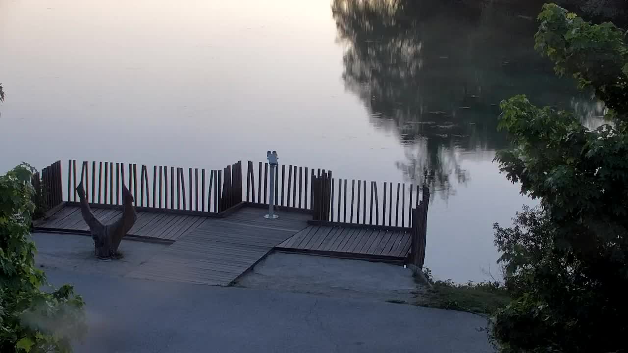 Spletna kamera Ribnik Vrbje – Žalec