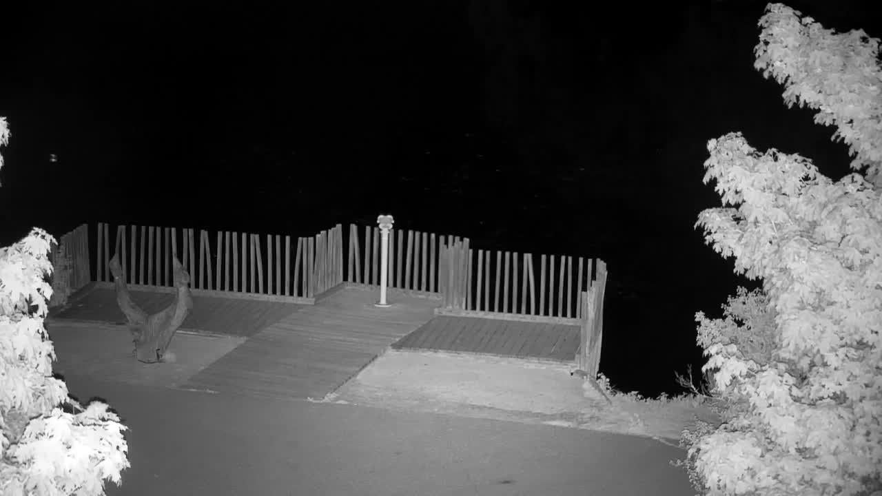 Webcam Ribnik Vrbje – Žalec