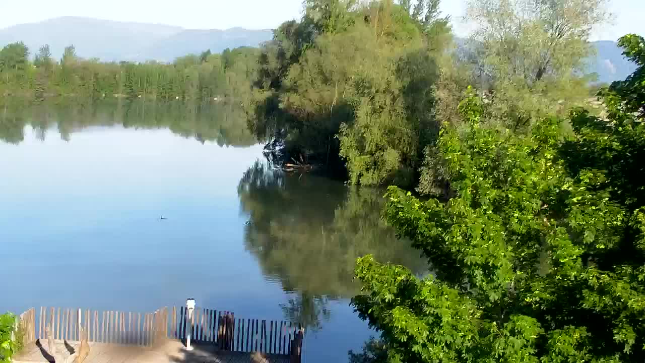 Webcam Ribnik Vrbje – Žalec