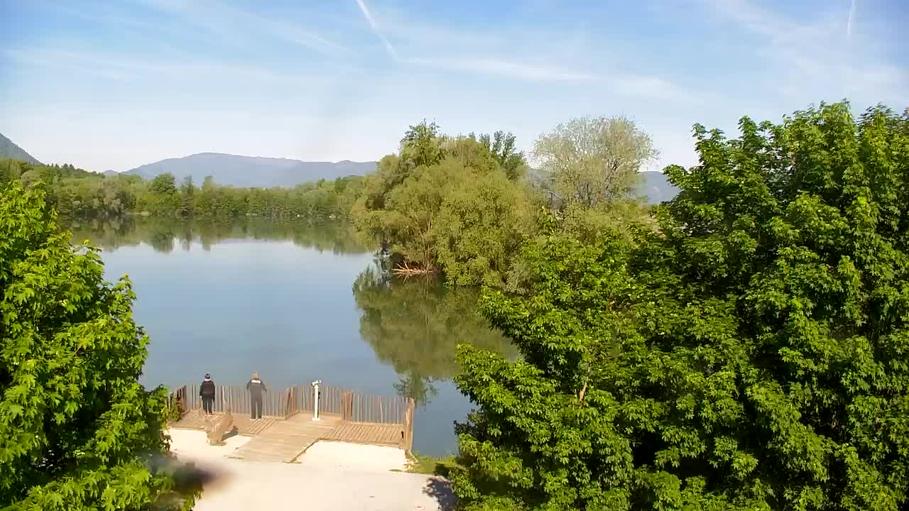 Webcam Ribnik Vrbje – Žalec