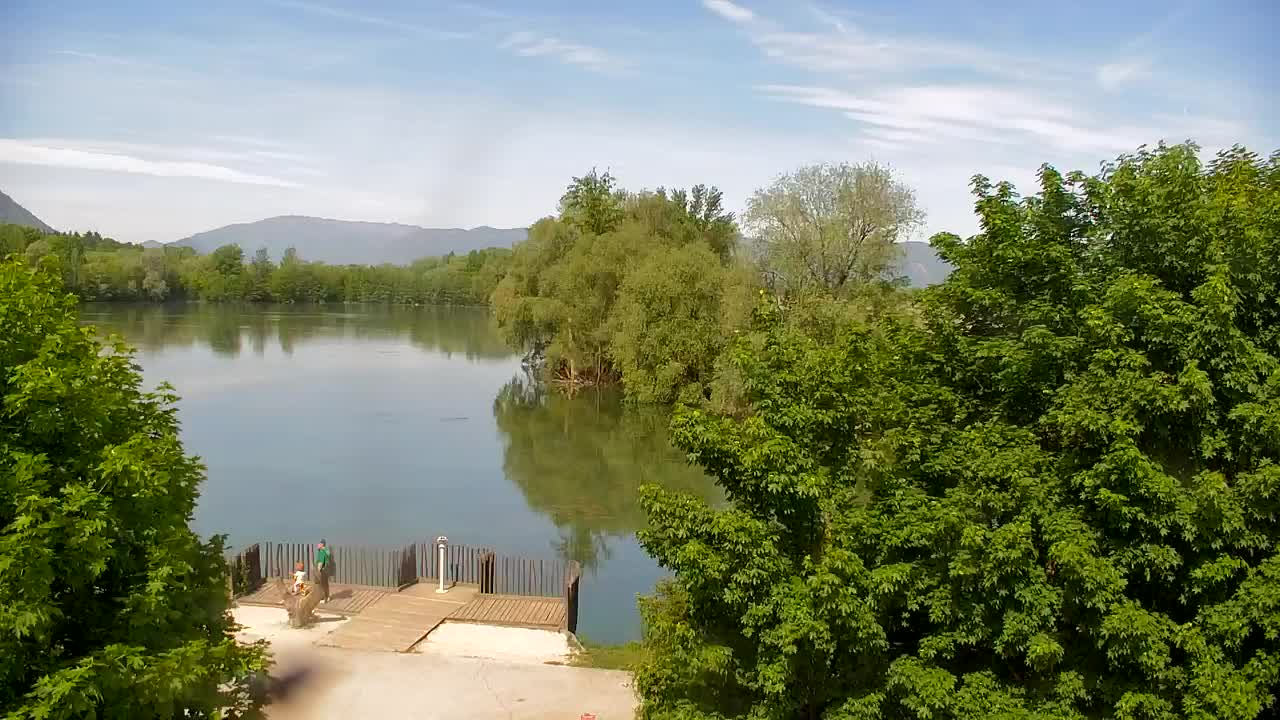 Webcam Ribnik Vrbje – Žalec