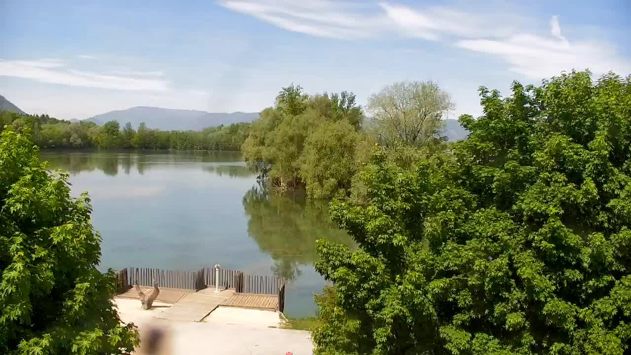 Webcam Ribnik Vrbje – Žalec