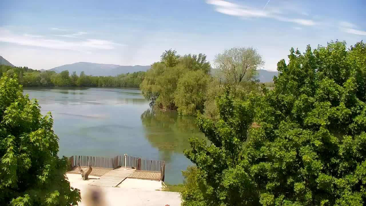Web kamera Ribnik Vrbje – Žalec