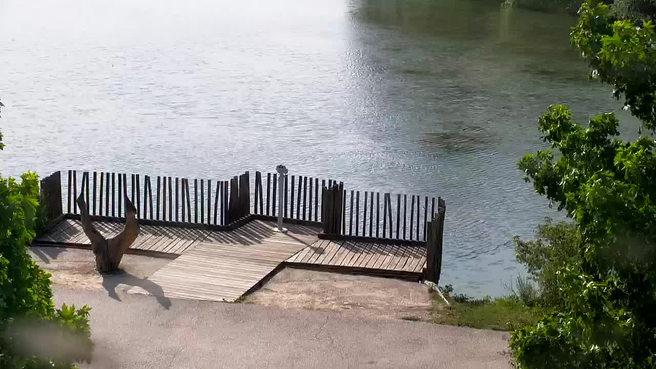 Webcam Ribnik Vrbje – Žalec