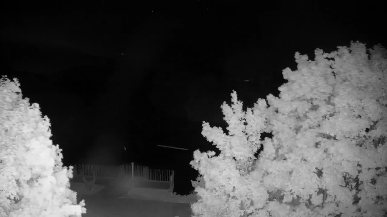 Webcam Ribnik Vrbje – Žalec