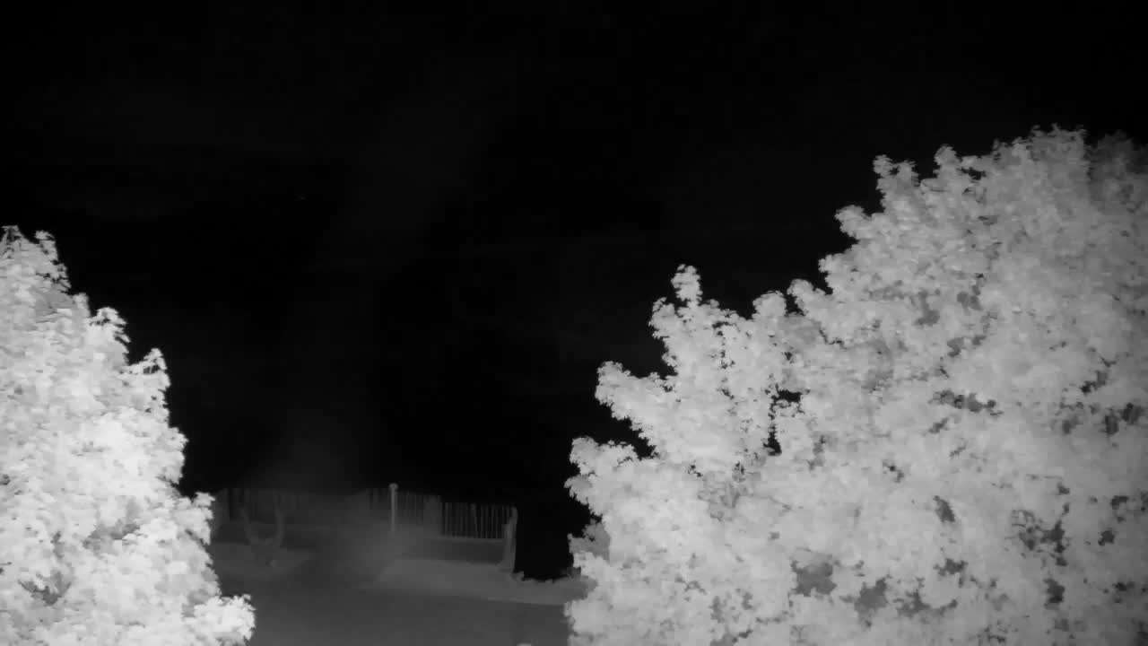 Webcam Ribnik Vrbje – Žalec