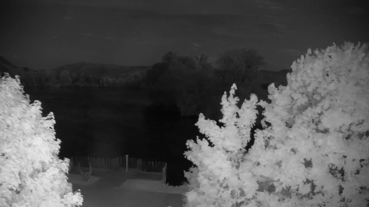 Webcam Ribnik Vrbje – Žalec