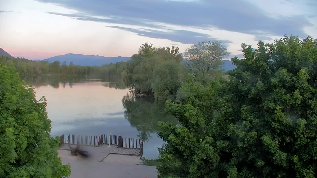 Webcam Ribnik Vrbje – Žalec