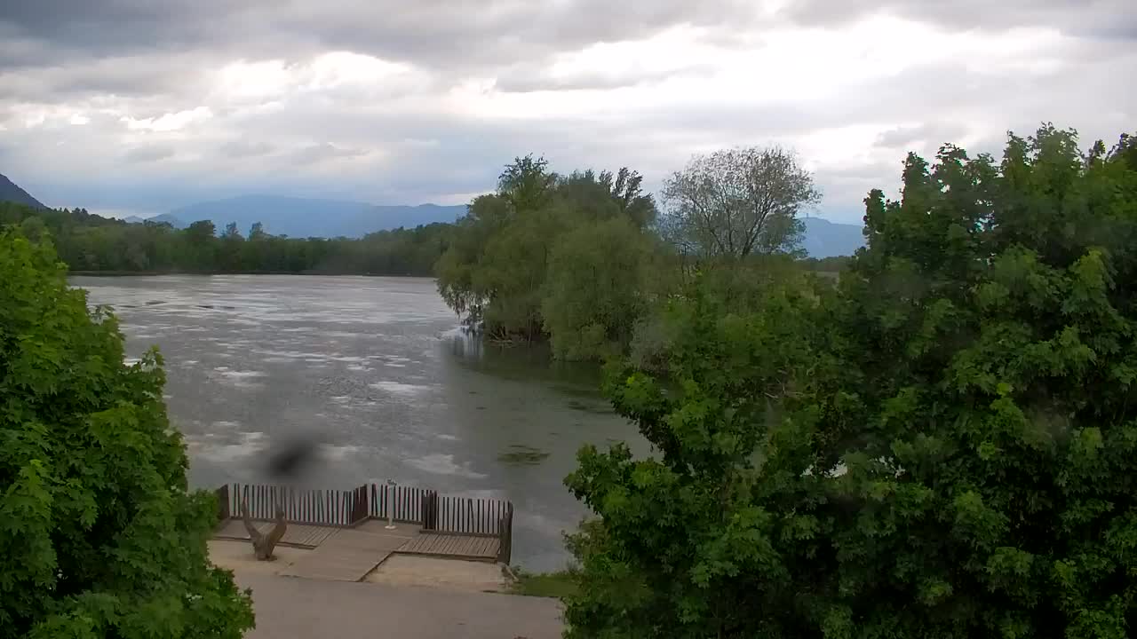 Webcam Ribnik Vrbje – Žalec