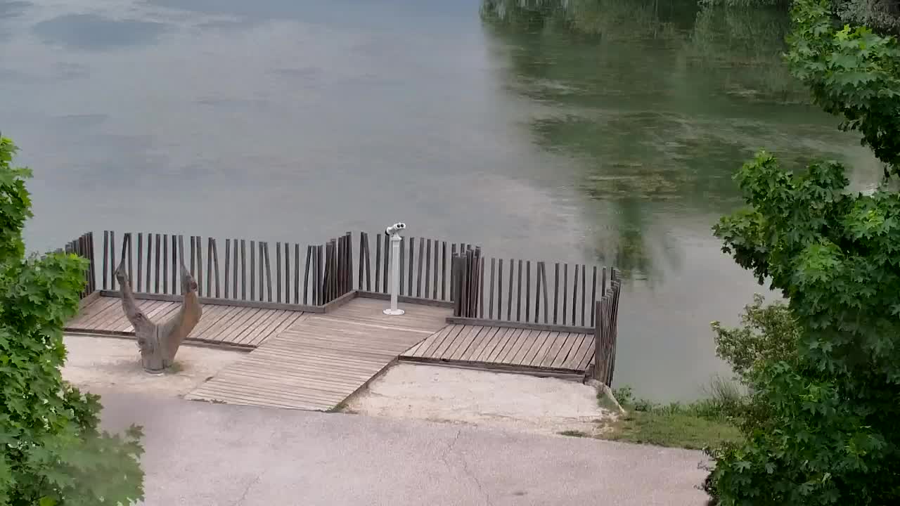 Webcam Ribnik Vrbje – Žalec