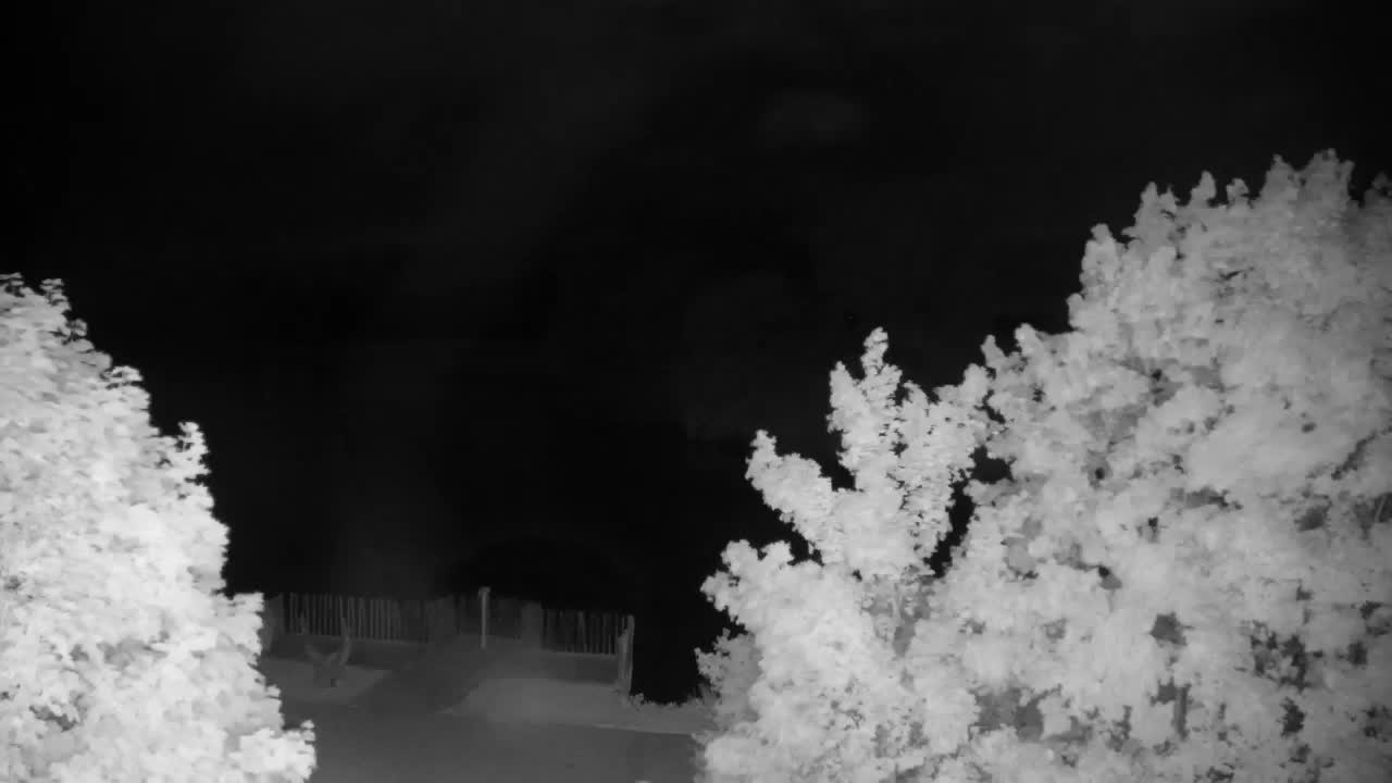 Webcam Ribnik Vrbje – Žalec