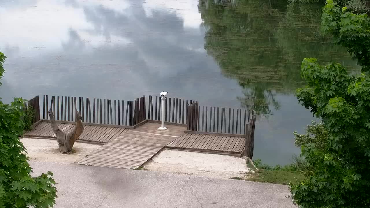Webcam Ribnik Vrbje – Žalec