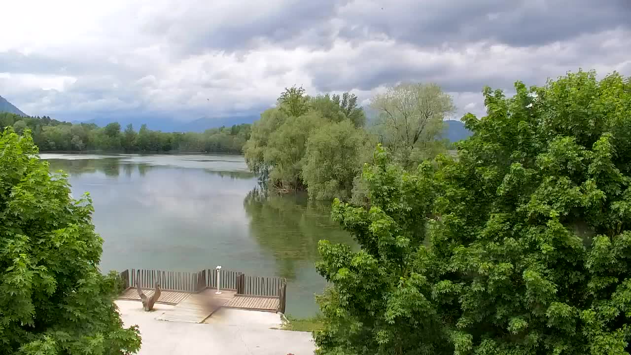 Spletna kamera Ribnik Vrbje – Žalec