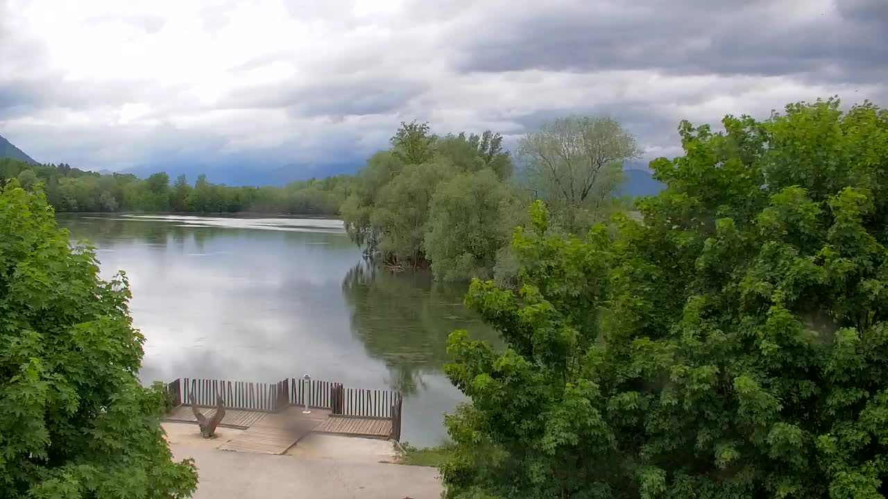 Webcam Ribnik Vrbje – Žalec