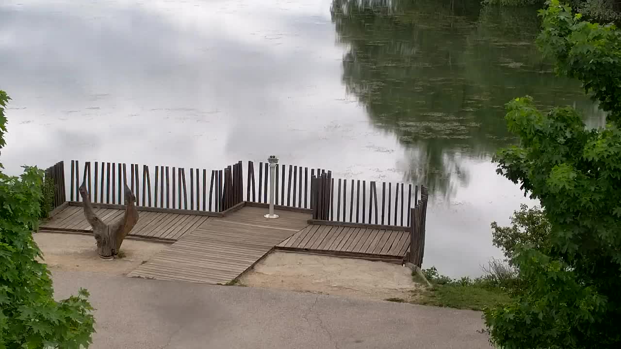 Webcam Ribnik Vrbje – Žalec