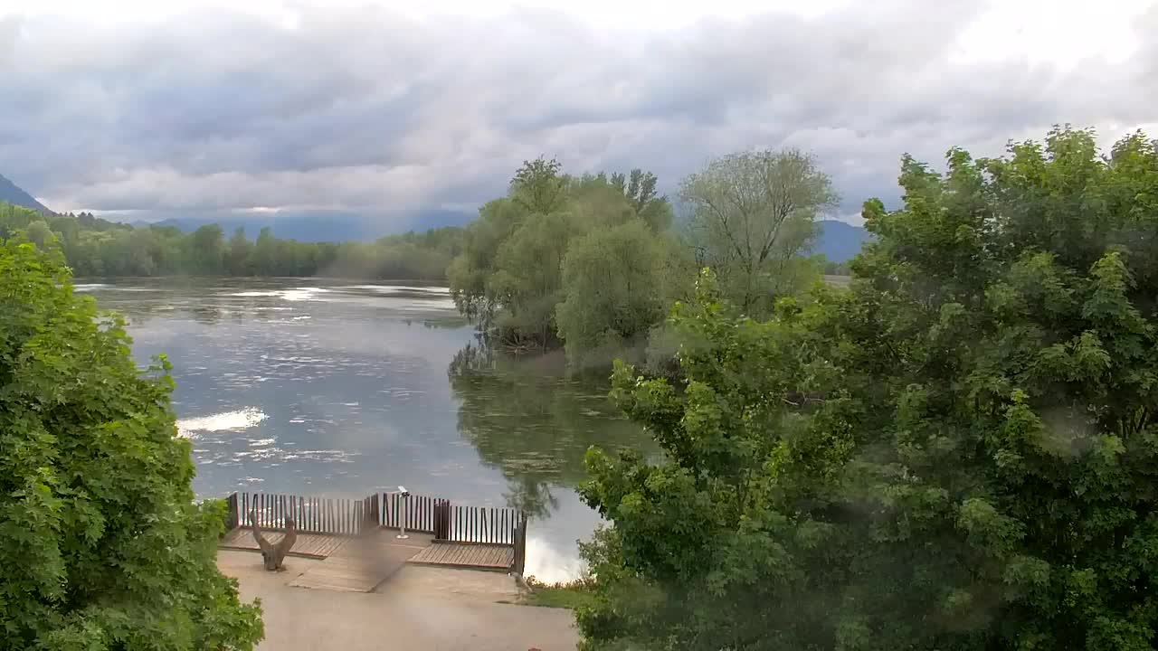 Webcam Ribnik Vrbje – Žalec