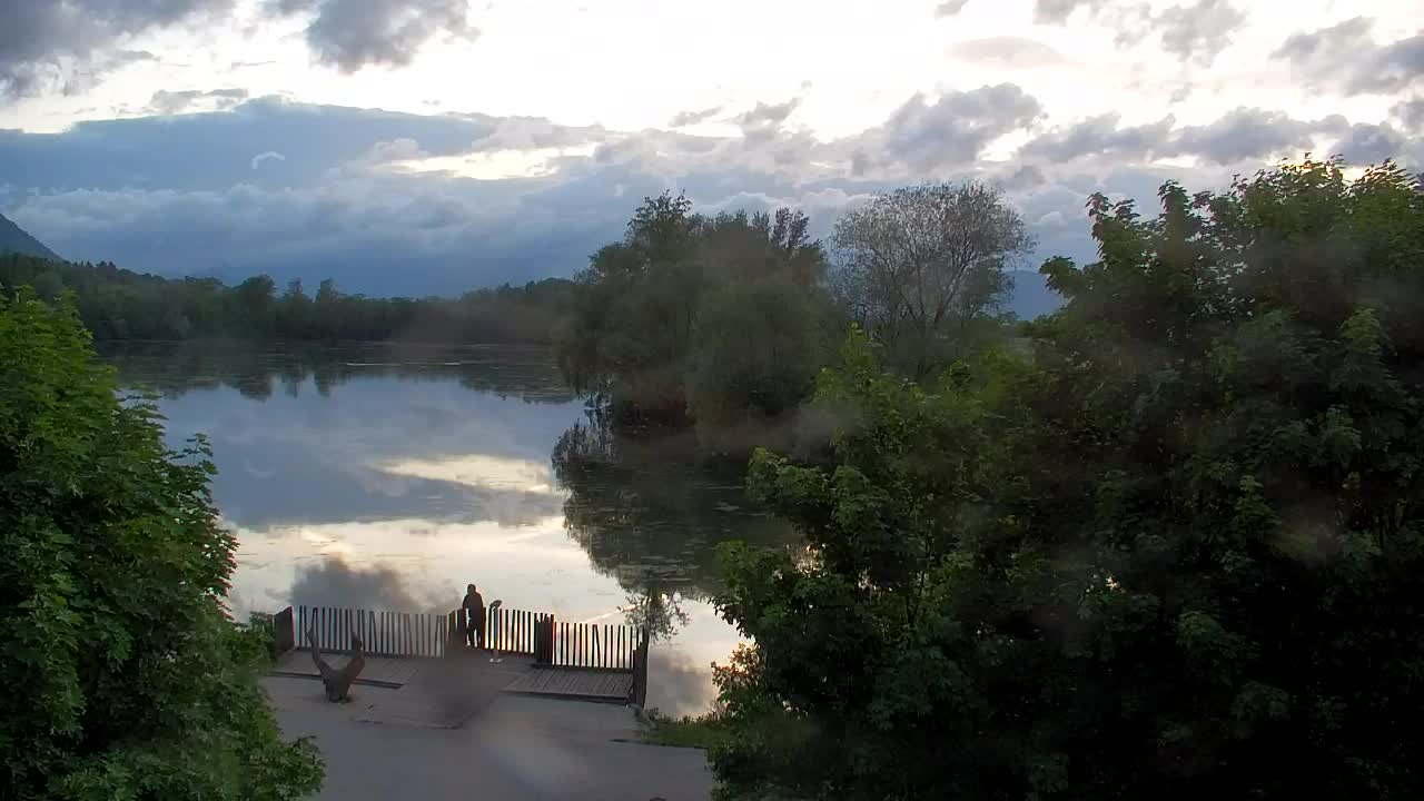 Webcam Ribnik Vrbje – Žalec