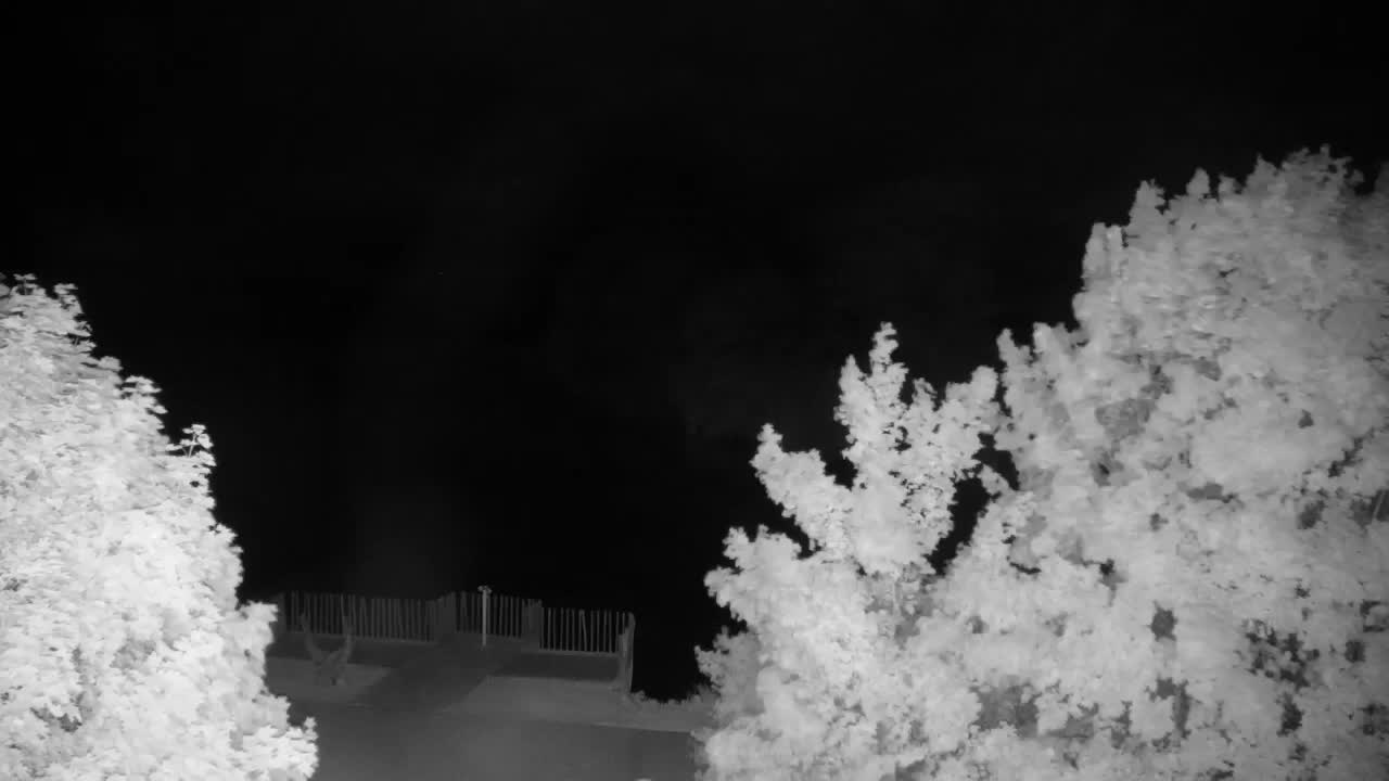 Webcam Ribnik Vrbje – Žalec