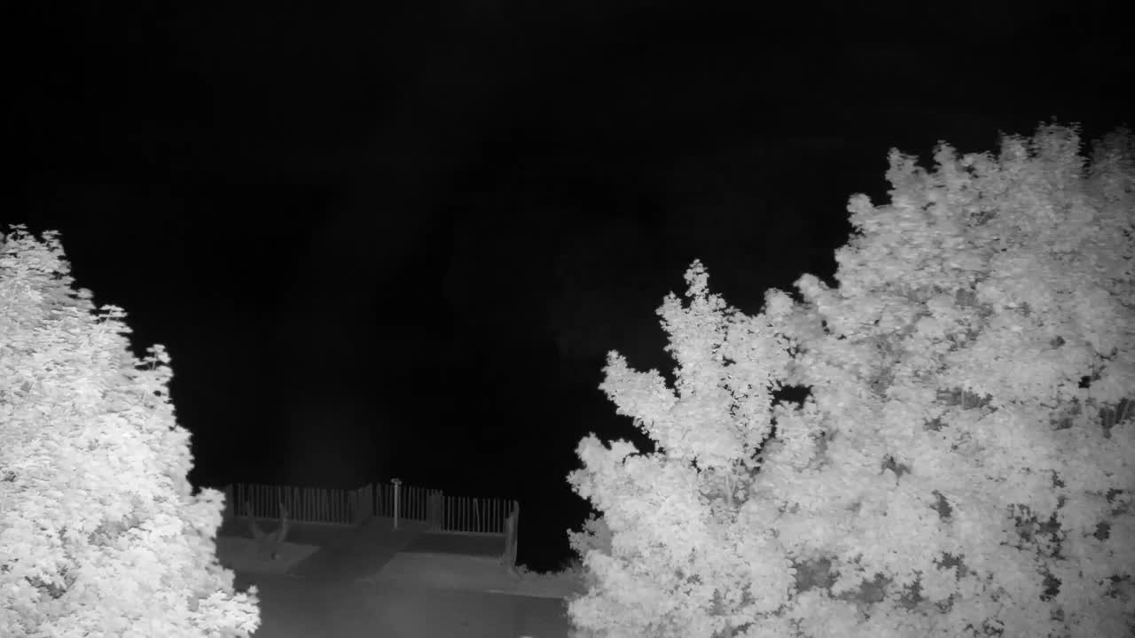 Webcam Ribnik Vrbje – Žalec