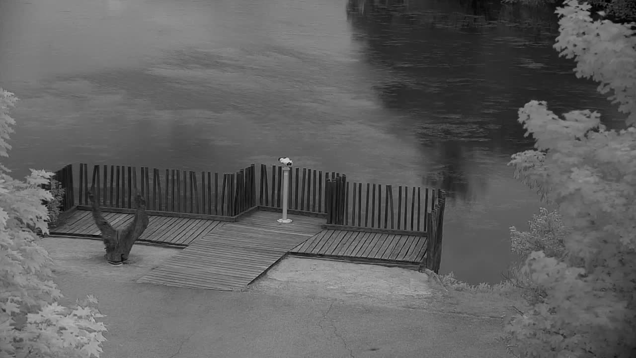 Webcam Ribnik Vrbje – Žalec