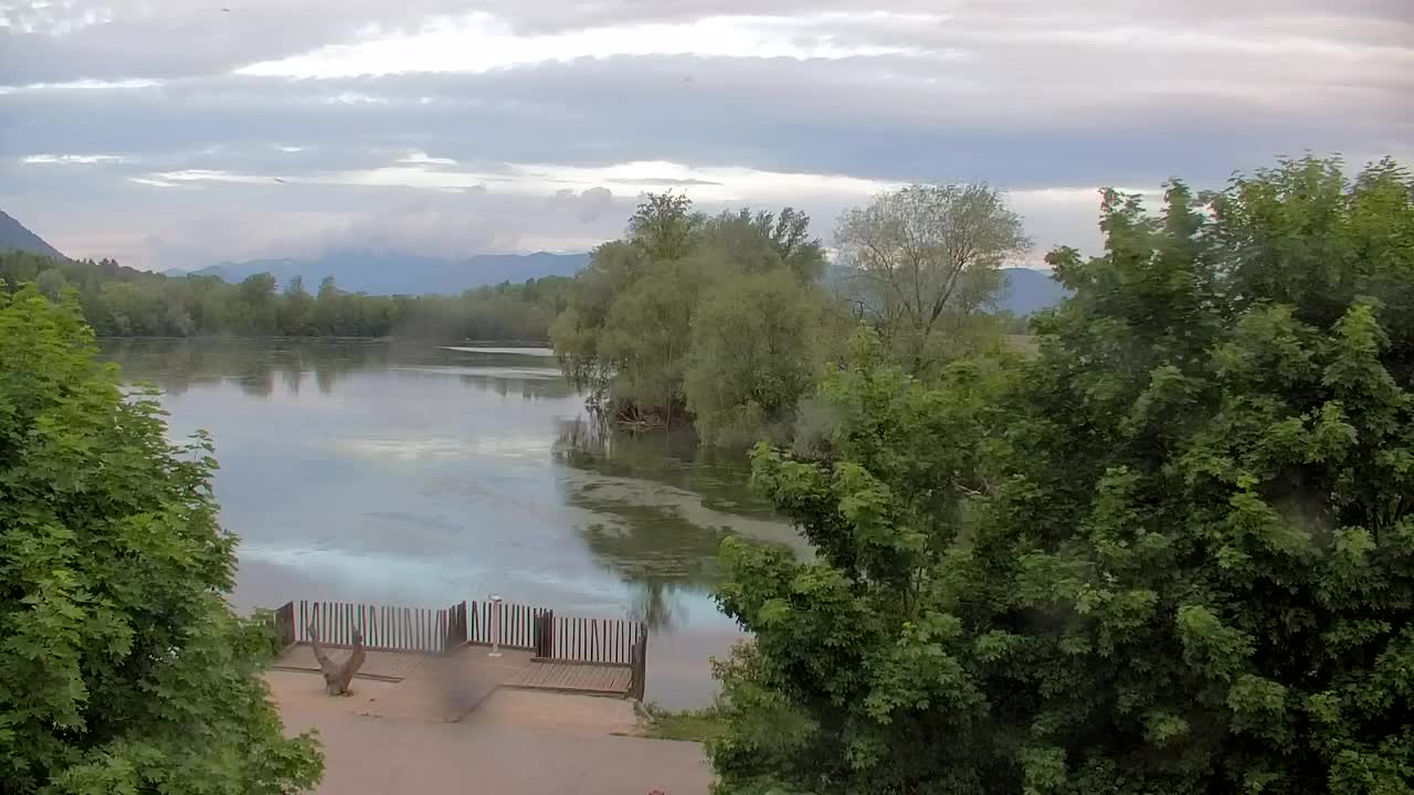 Webcam Ribnik Vrbje – Žalec