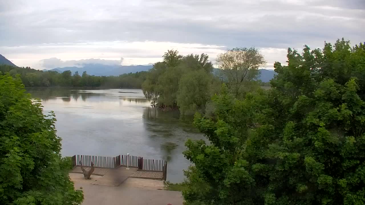Webcam Ribnik Vrbje – Žalec
