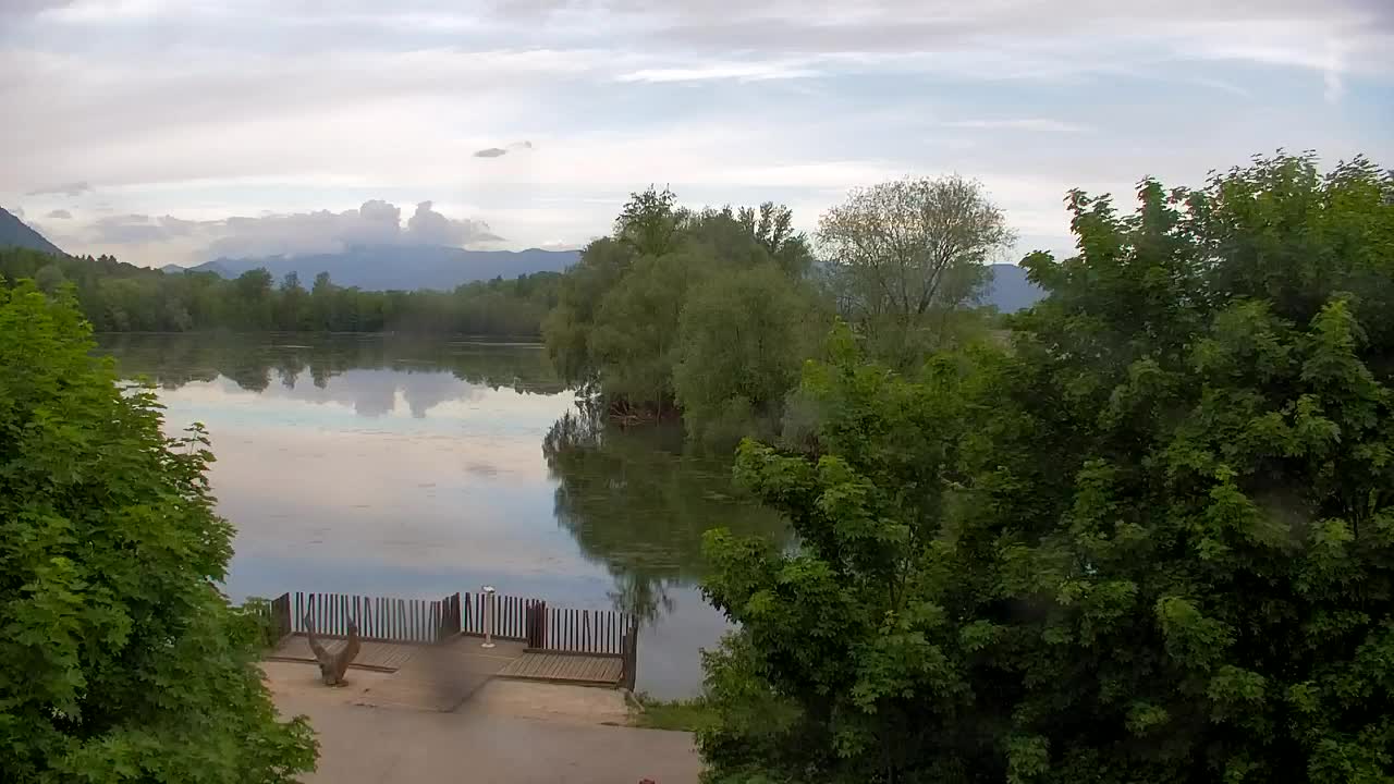 Webcam Ribnik Vrbje – Žalec