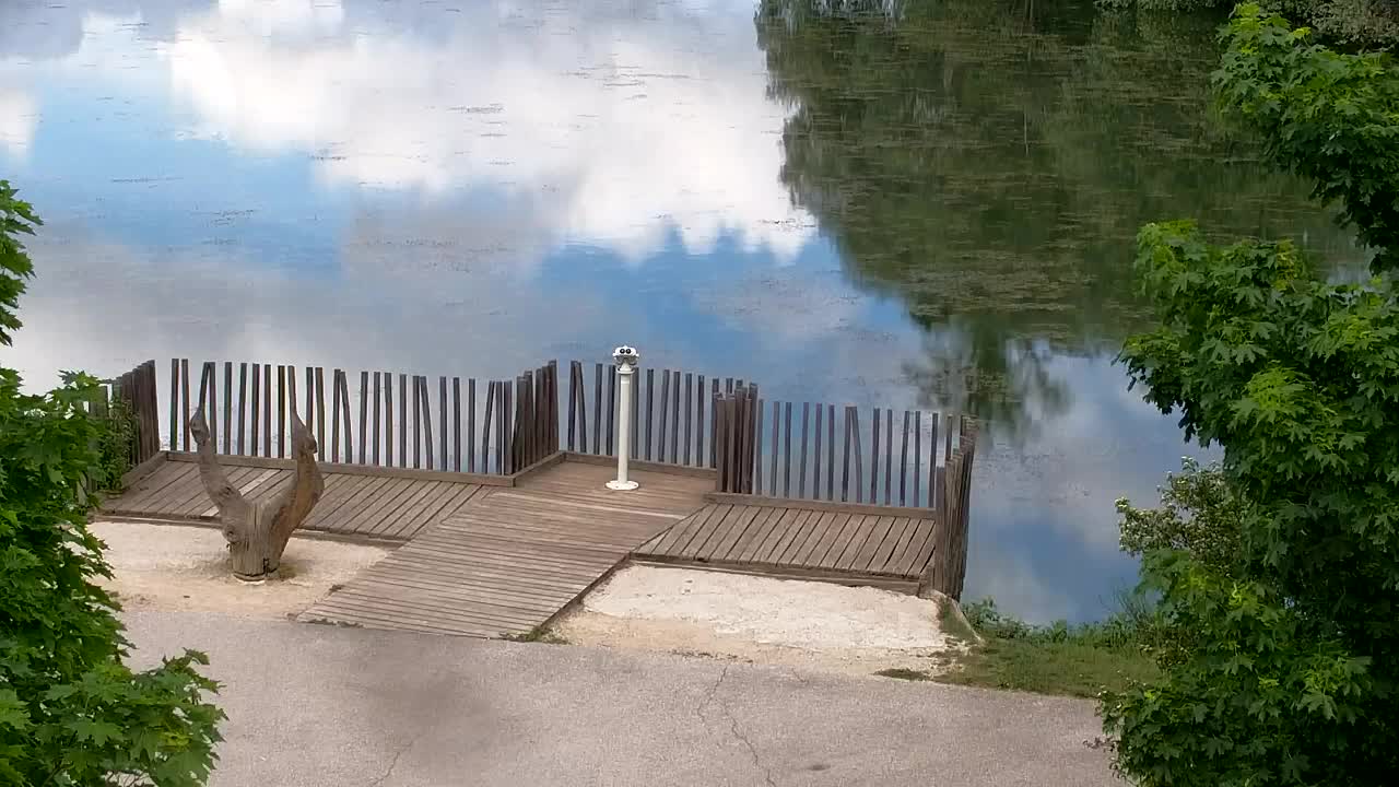 Webcam Ribnik Vrbje – Žalec