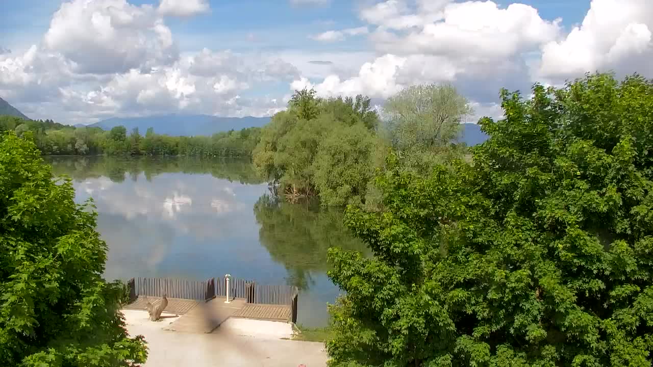 Webcam Ribnik Vrbje – Žalec