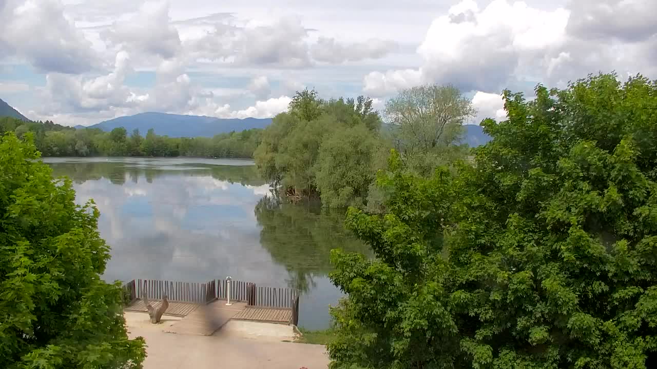 Webcam Ribnik Vrbje – Žalec